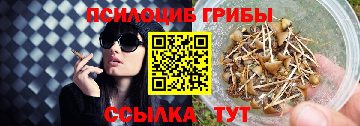 Псилоцибиновые грибы Magic Shrooms Гуково